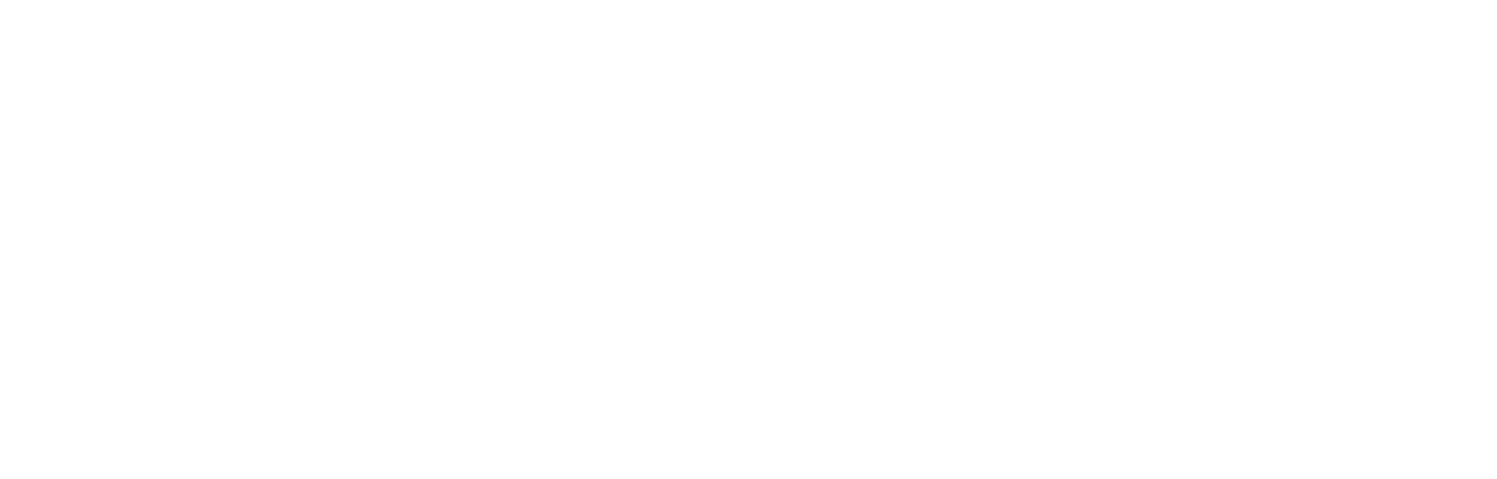 Bramicar HCT 