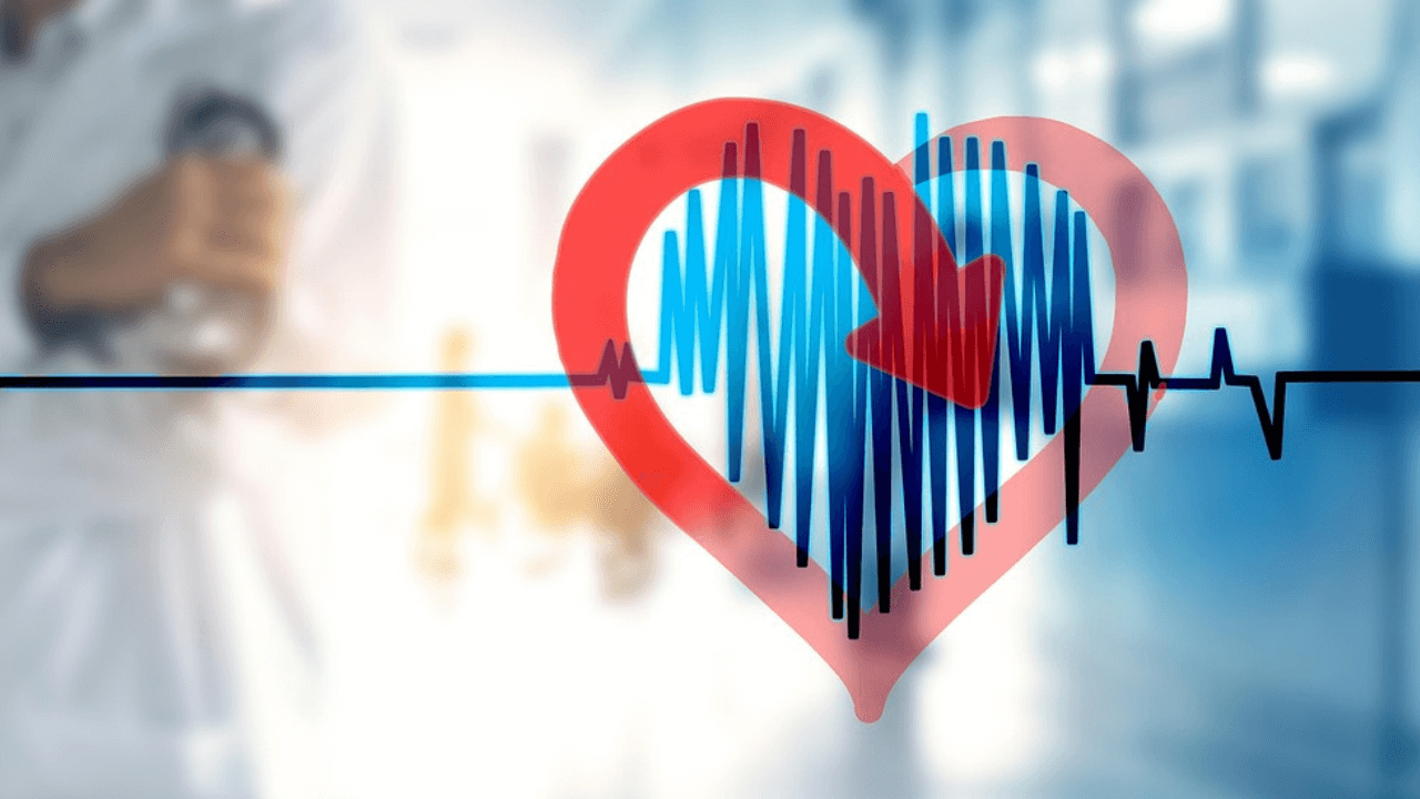 Dia Mundial de Conscientização sobre Arritmia - Pulse Day: arritmias cardíacas, fibrilação atrial e as atualizações mais recentes para a prática clínica